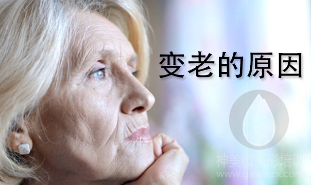 wuxingpifuguankli07.jpg