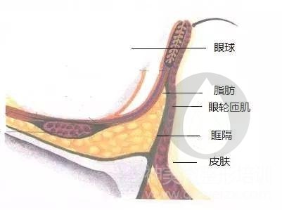 构成原因