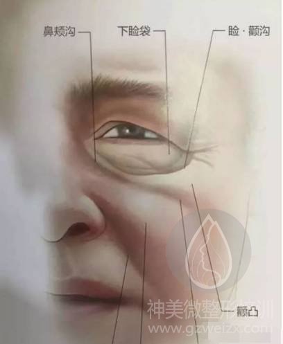 规律纹