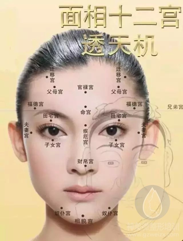 面相十二宫----专业微整形美容改运